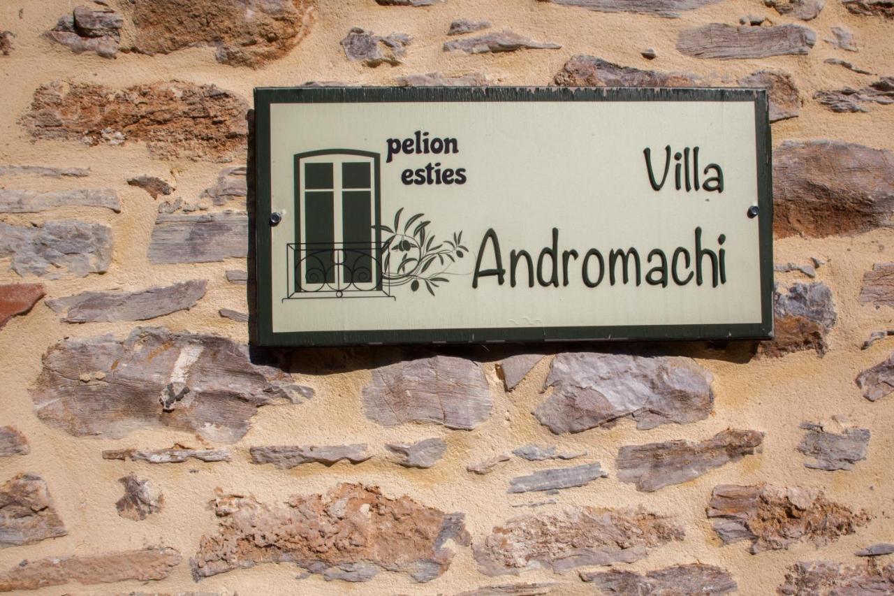 Villa Andromachi By Pelion Esties Ano Gatzea Extérieur photo